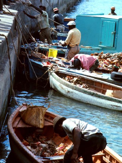 Nassau Harbor, Bahamas has many 